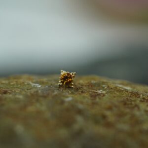 Anatometal yellow gold faceted Zia citrine
