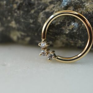 BVLA Muse seamring