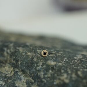 BVLA Pave Circle yellow gold black diamond