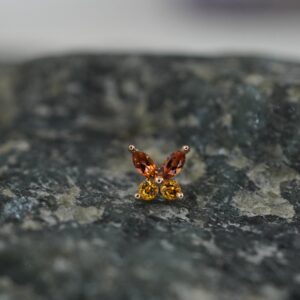 BVLA Monarch Butterfly