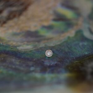 BVLA Pave Circle white gold white diamond